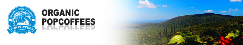 �I�[�K�j�b�N�R�[�q�[